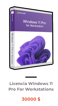 windows11proWorkstations